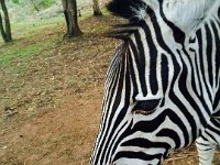 Marion, Romane South Africa 2014 (64 of 80) : Bundu lodge, Marion visit